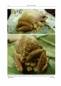 Preview: Amphibians and Reptiles of the St. Vincent and Grenada Banks, We